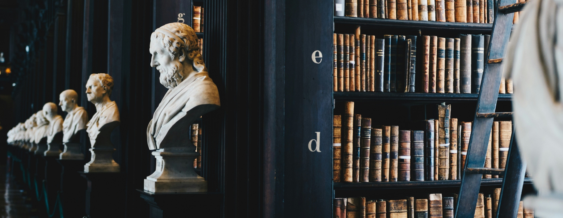 imagem de uma biblioteca mostrando algumas estátuas romanas